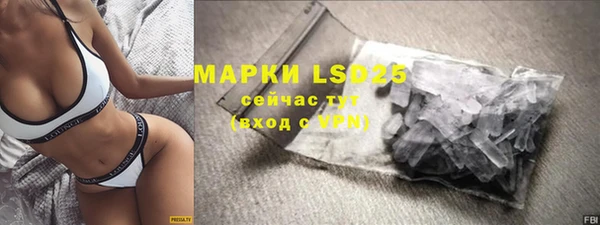 гидра Заводоуковск