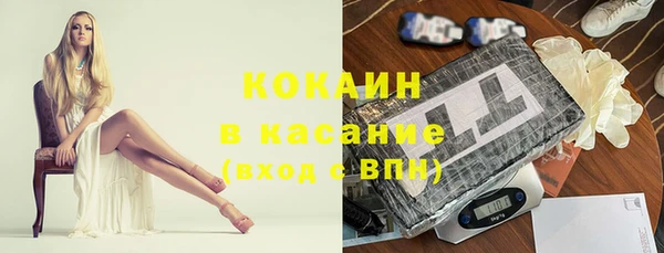 гидра Заводоуковск