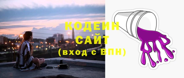 гидра Заводоуковск