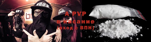 гидра Заводоуковск