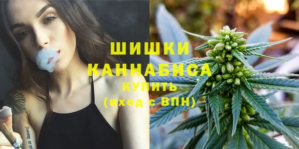 гидра Заводоуковск