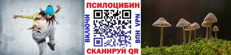 Купить  Покровск  Псилоцибиновые грибы GOLDEN TEACHER 